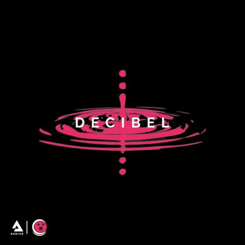 Decibel | Techno, Tech House, Industrial, Grit